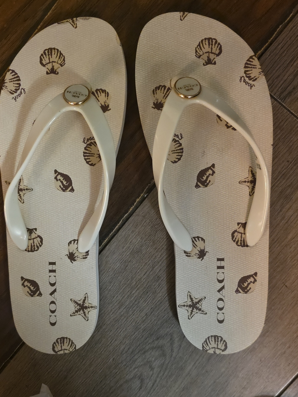 Coach Cream and Brown Seashell Print Flip Flops